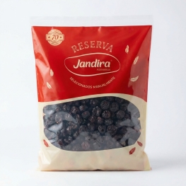 JRV-PA - BLUEBERRY DESIDRATADO 1KG