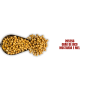 JRV-PA - GRAO DE BICO TORRADO MOSTARDA E MEL PEPITO 1,01KG