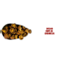 CHIPS COGUMELOS 1KG