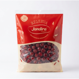 CEREJA DESIDRATADA NINGXIA 1,01KG