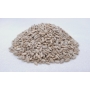 PEPITA DE GIRASSOL 1KG