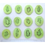 JRV-PA - CHIPS DE KIWI 1,01KG
