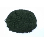 SPIRULINA EM PO 1KG