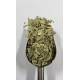 SENE EM FOLHAS 1KG